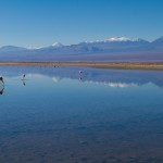 Laguna Chaxa